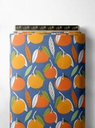 Fruit nature style with yellow, orange colors