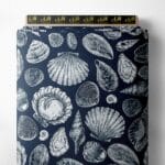 Shell nature style with white, blue colors