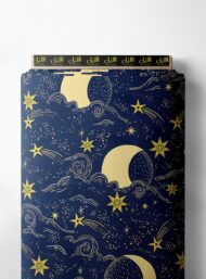 Night nature style with blue, yellow colors