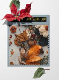Nature flower style with orange,white colors - Image 6