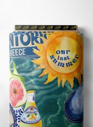 Fruit mixed style with blue,orange colors