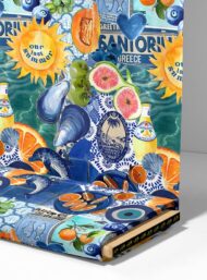 Fruit mixed style with blue,orange colors - Image 4