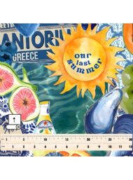 Fruit mixed style with blue,orange colors - Image 5