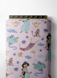 Princess mixed style with pink,blue colors