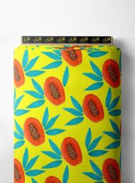 Papaya nature style with yellow,green colors