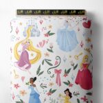 Princess others style with pink,blue colors