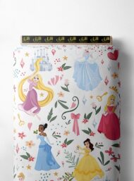 Princess others style with pink,blue colors