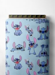 Character animal style with blue,pink colors