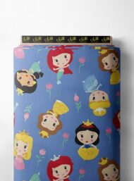 Princess mixed style with blue,pink colors