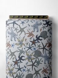 Starfish ocean and sky style with grey,blue colors