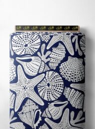 Starfish ocean and sky style with blue, white colors