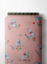 Bunny animal style with pink,blue colors