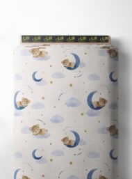 Bear animal style with blue,brown colors