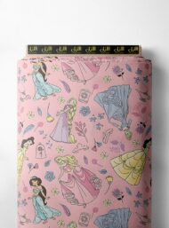 Princess mixed style with pink,blue colors