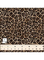 Leopard animal style with brown, black colors - Image 5