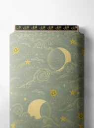 Moon nature style with grey, yellow colors