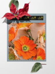Petal flower style with orange,white colors - Image 6