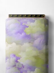 Cloud ocean and sky style with purple,green colors