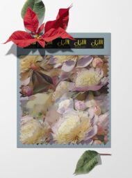 Bloom flower style with pink,white colors - Image 6