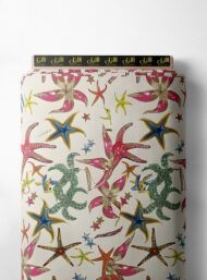 Starfish ocean and sky style with red,green colors