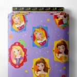 Princess others style with pink,blue colors