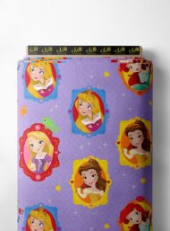 Princess others style with pink,blue colors