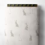 Rabbit others style with grey, white colors