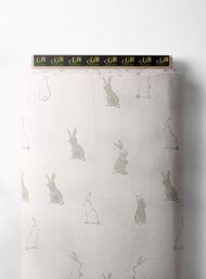 Rabbit others style with grey, white colors