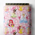 Princess others style with pink,blue colors