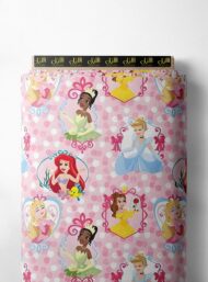 Princess others style with pink,blue colors