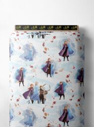 Character others style with blue,pink colors