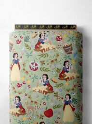 Apple nature style with green,red colors