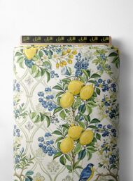 Bird nature style with yellow,blue colors