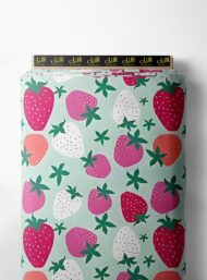 Strawberry others style with red,green colors