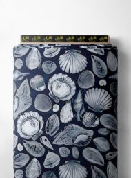 Shell ocean and sky style with grey,white colors