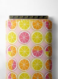 Fruit others style with yellow,orange colors