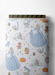 Shoe others style with blue,orange colors