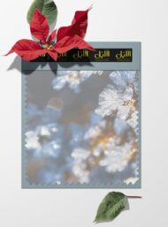 Bloom others style with white,grey colors - Image 6