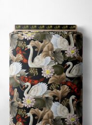 Swan nature style with white,black colors