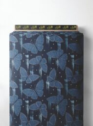 Butterfly animal style with blue,black colors