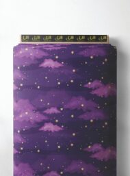 Mountain ocean and sky style with purple,pink colors